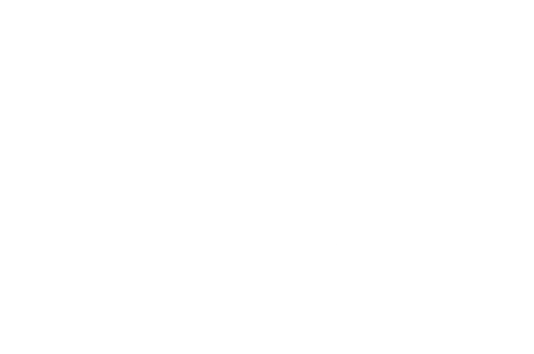 logo full white