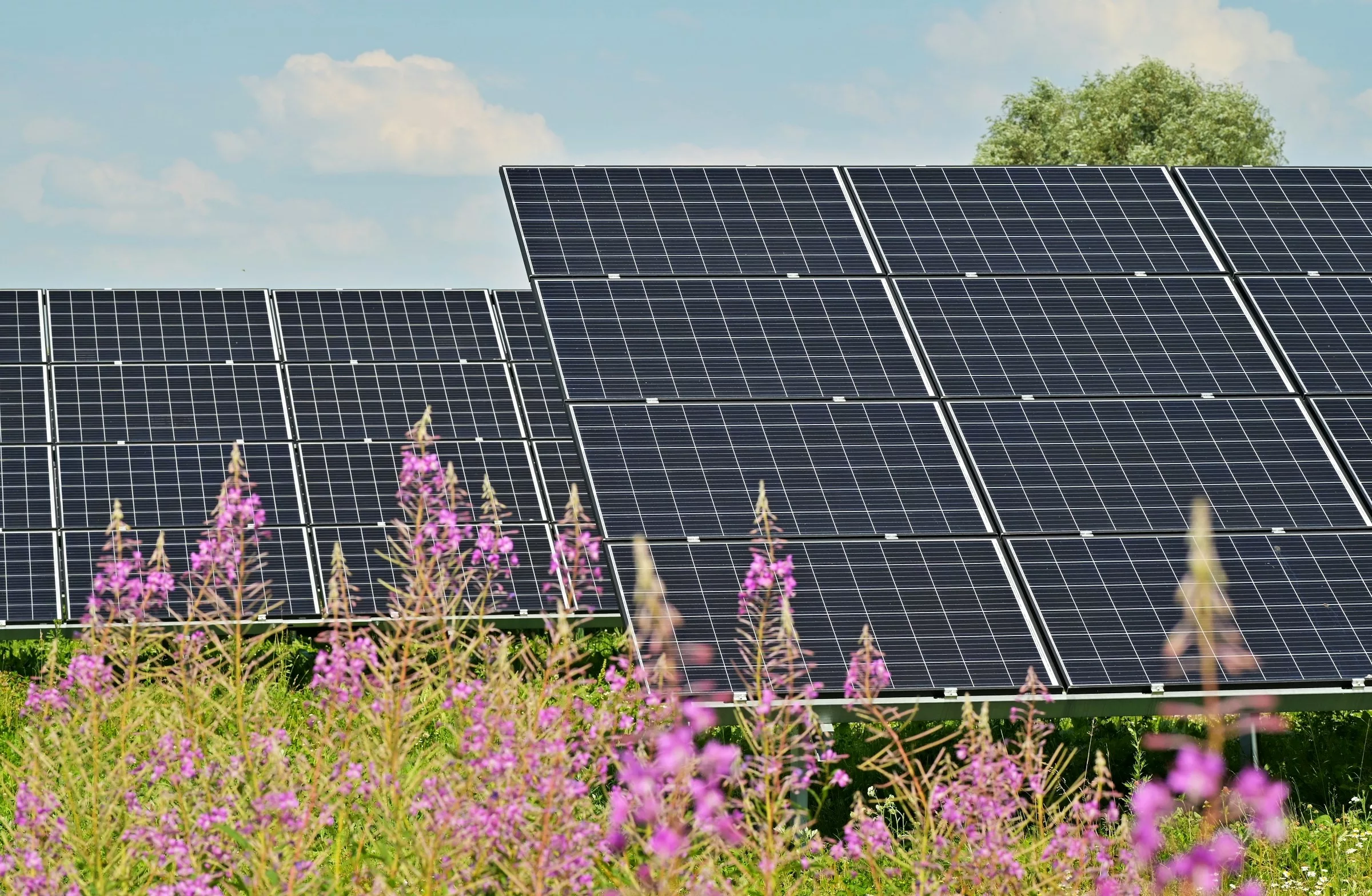 Inschrijving voor zonaandelen Zonnig Duiven van start
